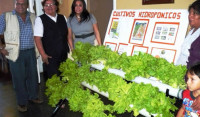 cultivos-hidroponicos
