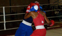campeonato-boxeo