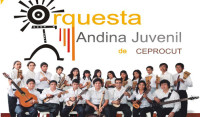 casting-orquesta-andina