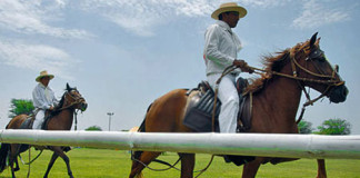 Concurso de Caballos de Paso se realizaré este sábado