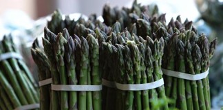 Empresas liberteñas exhibirán su oferta en feria internacional