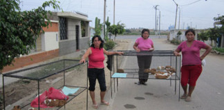 Familias de Alto Moche y Alto Salaverry forman red empresarial de producción de cuyes