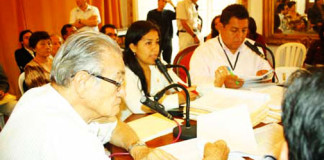 Se aprobó Plan Regional de Juventud para el desarrollo social