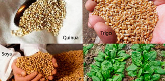 I Feria de Alimentación contra enfermedades no transmisibles