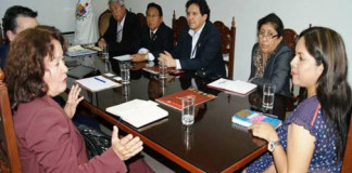 Iniciarán construcción de parque de energía eólica
