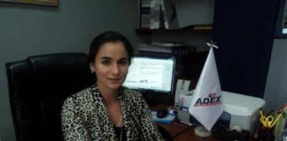Quinua peruana llegó a cinco nuevos mercados en primer semestre del año
