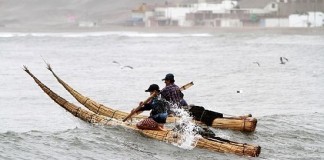 Declaran uso de totora como Patrimonio Cultural del Perú