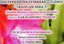 XIV Exposición Estándar de Flores: TRUJIFLOR PARA TI