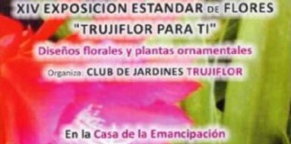 XIV Exposición Estándar de Flores: TRUJIFLOR PARA TI