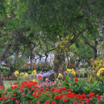 PARQUE BOTANICO