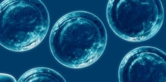 Células del cordón umbilical ofrecen una salida a la leucemia