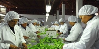 Emprendedores podrán asegurar su negocio desde s/.18 mensuales