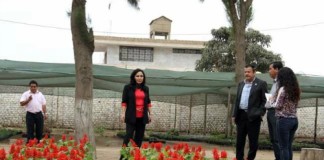 Viveros de la MPT cuentan con más de 32 mil variedades de plantas y arboles