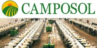 El Ministerio de Trabajo y Promoción del Empleo certificó a trabajadores de Camposol