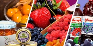 Seminario “Arándanos y Berries: Oportunidad de Negocio”