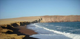 Realizan jornada de limpieza en playas de Paracas