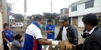 Veterinaria Municipal pondrá en funcionamiento página virtual