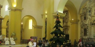 Arzobispo presidirá hoy misa de Noche Buena y bendecirá nacimiento