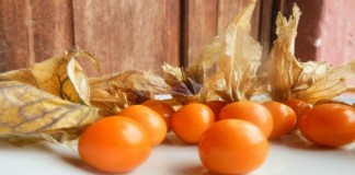 Conoce los beneficios del aguaymanto