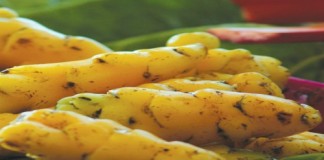 Conoce los beneficios de la oca