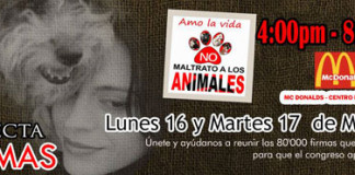 Recolección de firmas para lograr la penalización del maltrato animal