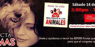 Recolección de firmas a favor de ley que penaliza el maltrato animal