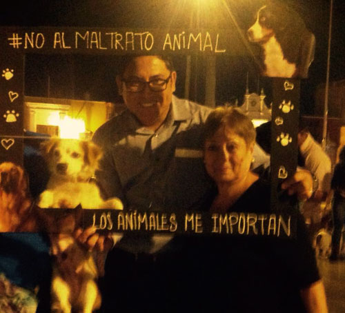 no-al-maltrato-animal