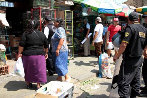 mpt-rescato-medio-centenar-animales-mercado-zonal-palermo