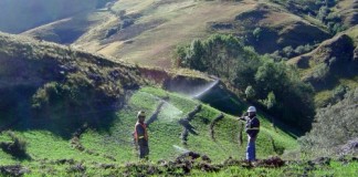 Número de estudios ambientales crecerá en el 2015