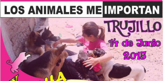 Se realizará la 9° Marcha por los Derechos de los Animales «Los Animales me Importan»