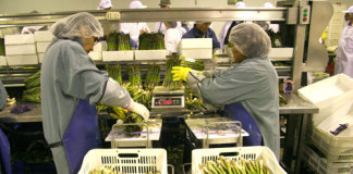 Chavimochic ha generado más de 4 mil millones de dólares en exportaciones