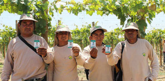 Proyecto Sicat beneficia a más de 15 mil trabajadores de Camposol