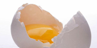 Crearán Huevos Artificiales con menor riesgo para la Salud