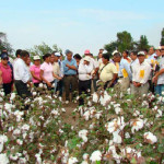Trabajadores agroindustriales conforman nueva Confederación Nacional en Virú