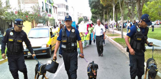 Coprosec de Trujillo concientiza para la Tenencia Responsable de Mascotas en los Parques