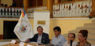 Escritora Huamachuquina Amelia Gastañadui presenta segundo poemario “Ecos del Corazón”