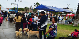 Se realizará Gran Campaña de Vacunación Van Can2015 de manera Gratuita