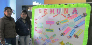 Municipios del interior de la Región no cumplen con crear sus Demunas