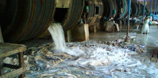 Protegerán el Medioambiente con novedoso Sistema de Tratamiento de Residuos Líquidos de Curtiembres