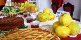 Todo listo para el XV Festival del Membrillo en Sinsicap