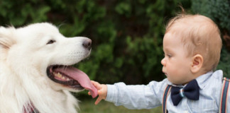 Los niños que crecen con un Perro tienen menos Riesgo de desarrollar Asma
