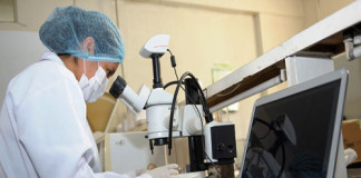 Proyecto Cienciactiva busca “ideas audaces” y “Magnet” para Financiar