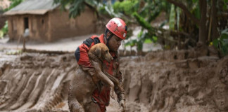 Salvan a decenas de Animales atrapados por Alud