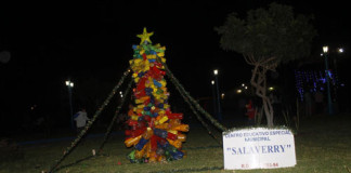 Colocaron Árboles elaborados con material reciclado en Salaverry