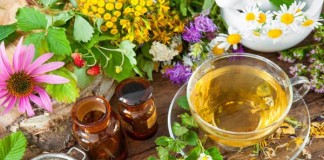 Hierbas aromáticas mejoran la capacidad cognitiva del cerebro