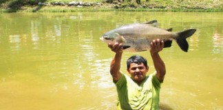 Publican proyecto del Reglamento de Ley de Acuicultura