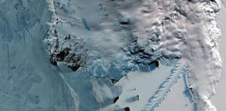 Nanopartículas de la Antártida servirían para marcar células tumorales