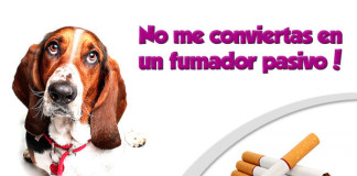 Consecuencias del humo de tabaco en nuestras mascotas