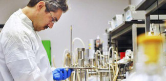 Malasia y Harvard se unen para curar males pulmonares