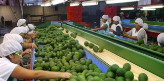 Perú entre los 10 principales países proveedores de alimentos